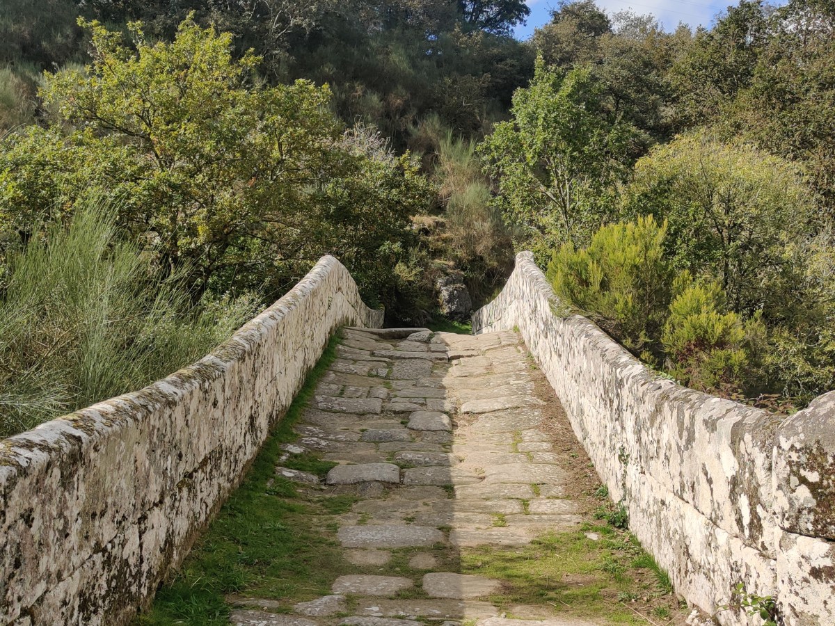 Via de la Plata: Day Thirty-Three